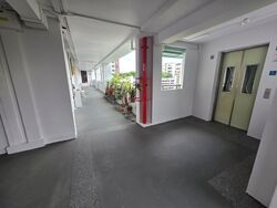 Blk 213 Ang Mo Kio Avenue 3 (Ang Mo Kio), HDB 3 Rooms #555034471